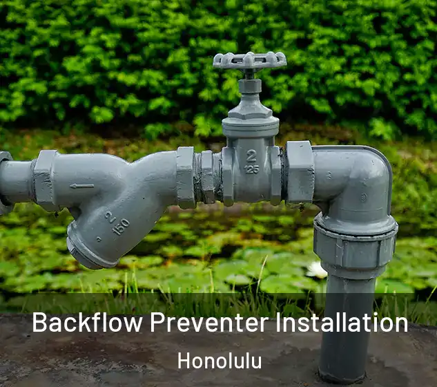  Backflow Preventer Installation Honolulu