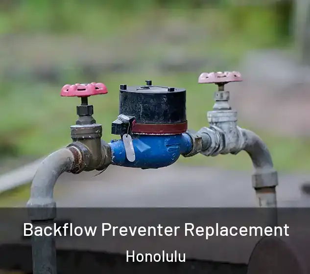  Backflow Preventer Replacement Honolulu