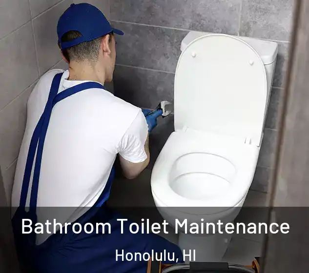  Bathroom Toilet Maintenance Honolulu, HI