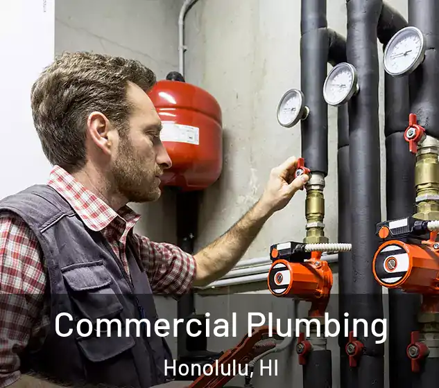  Commercial Plumbing Honolulu, HI
