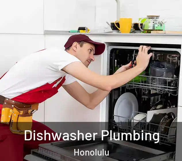  Dishwasher Plumbing Honolulu