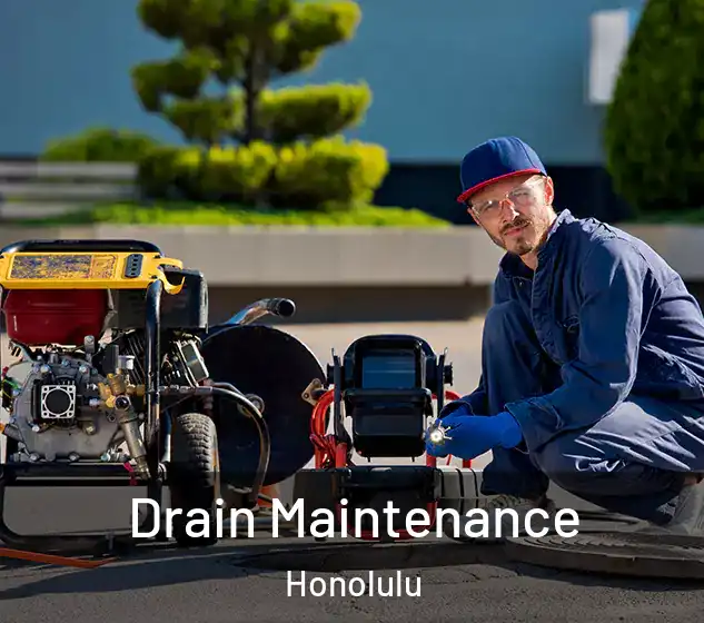  Drain Maintenance Honolulu