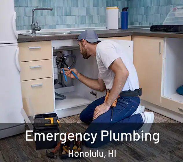  Emergency Plumbing Honolulu, HI