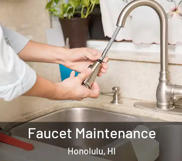  Faucet Maintenance Honolulu, HI