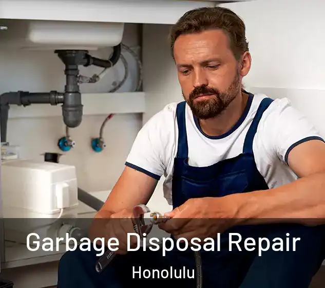  Garbage Disposal Repair Honolulu
