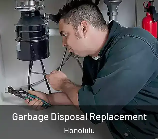  Garbage Disposal Replacement Honolulu