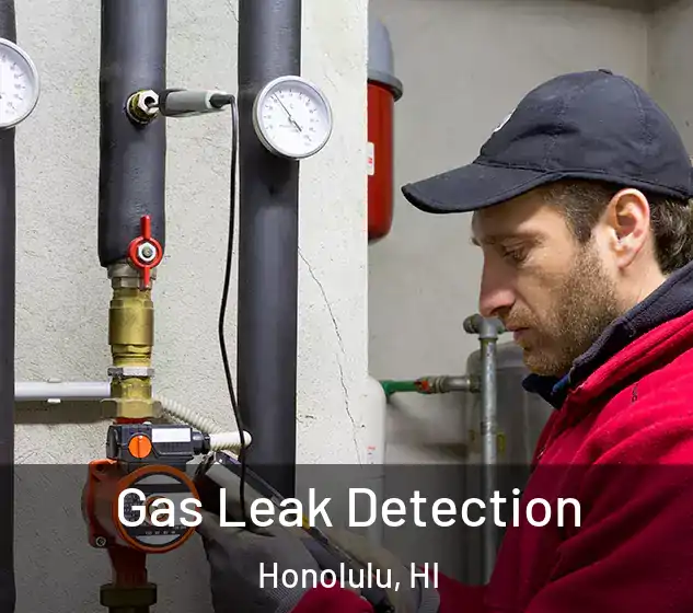 Gas Leak Detection Honolulu, HI