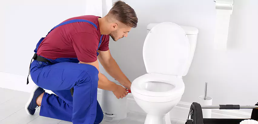 Scope of Bathroom Toilet Bowl Replacement Services in Honolulu, HI