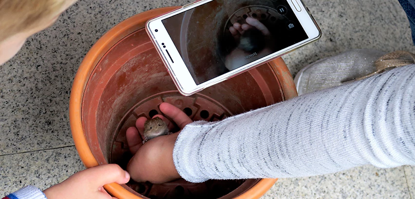 Scope of Drain Camera Inspection Services in Honolulu, HI