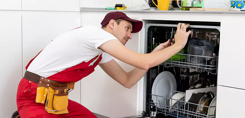 Scope of Kitchen Dishwasher Installation Services in Honolulu, HI