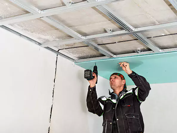 Why Honolulu Plumbing Pro is the First Choice for Roof & Ceiling Leak Detection Services in Honolulu, HI?