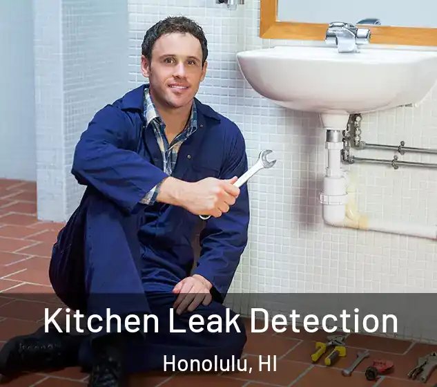  Kitchen Leak Detection Honolulu, HI