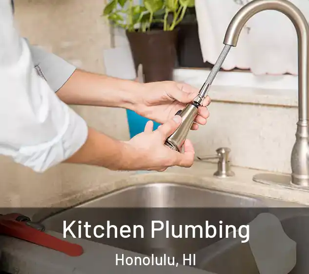  Kitchen Plumbing Honolulu, HI