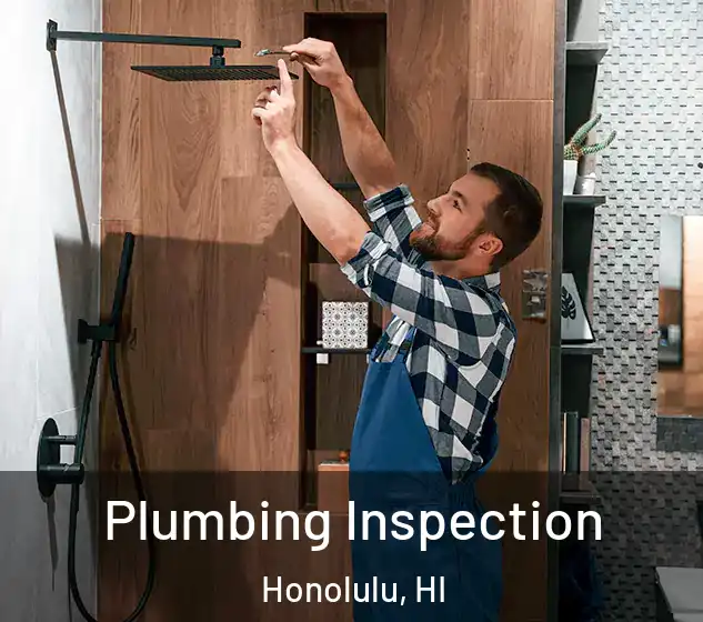  Plumbing Inspection Honolulu, HI
