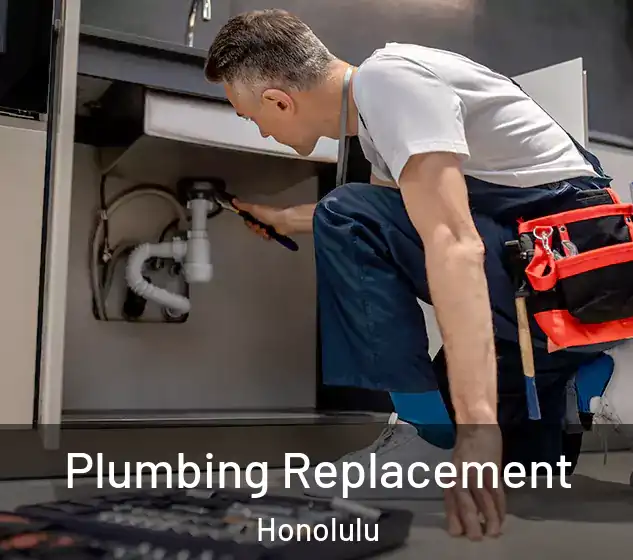 Plumbing Replacement Honolulu