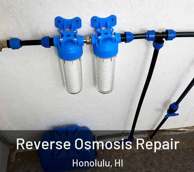 Reverse Osmosis Repair Honolulu, HI