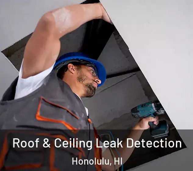  Roof & Ceiling Leak Detection Honolulu, HI