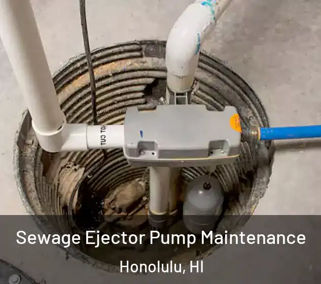  Sewage Ejector Pump Maintenance Honolulu, HI