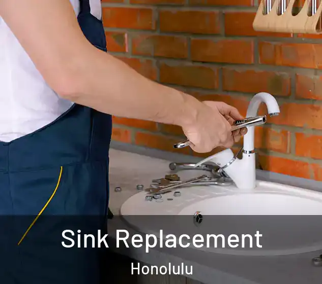  Sink Replacement Honolulu
