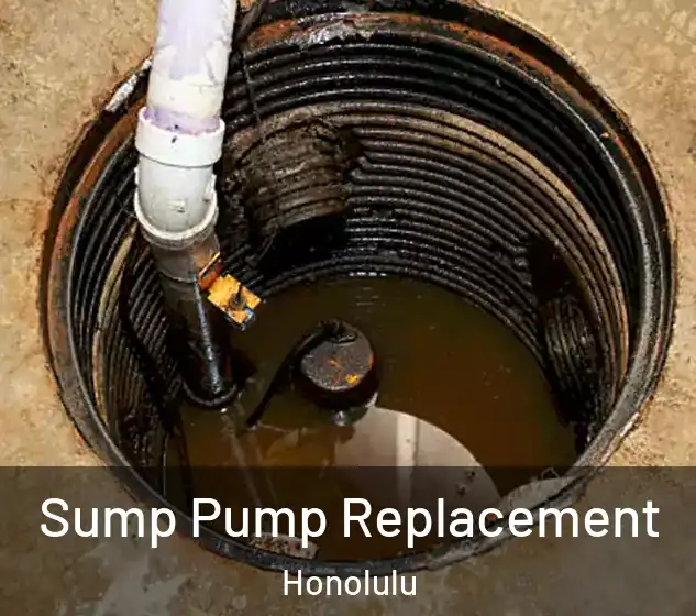  Sump Pump Replacement Honolulu