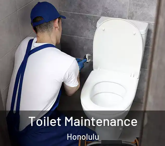  Toilet Maintenance Honolulu