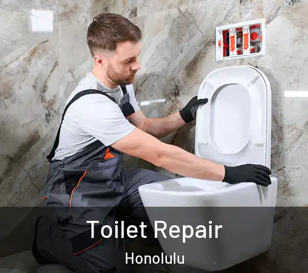  Toilet Repair Honolulu