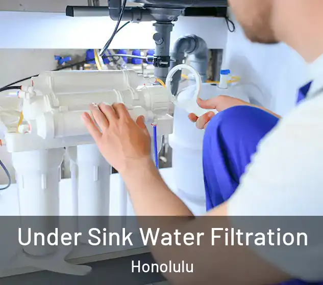  Under Sink Water Filtration Honolulu