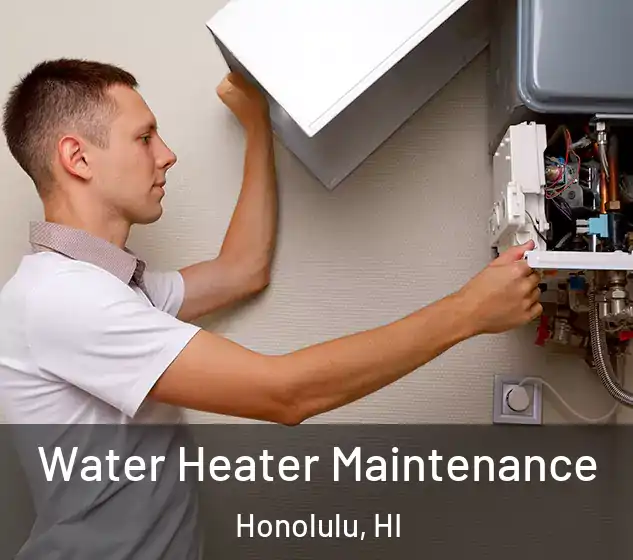  Water Heater Maintenance Honolulu, HI