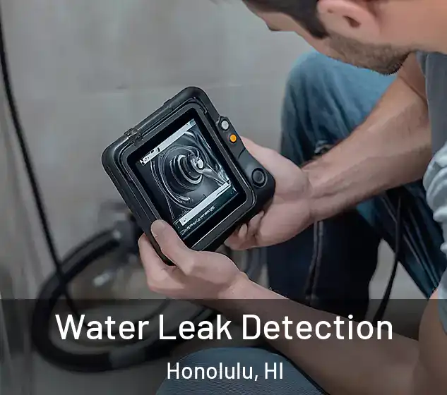  Water Leak Detection Honolulu, HI