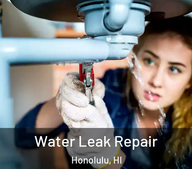  Water Leak Repair Honolulu, HI