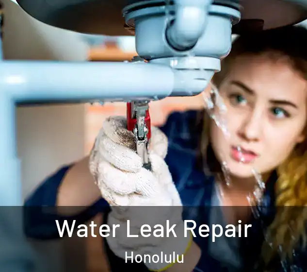  Water Leak Repair Honolulu