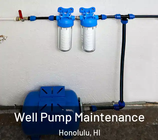  Well Pump Maintenance Honolulu, HI