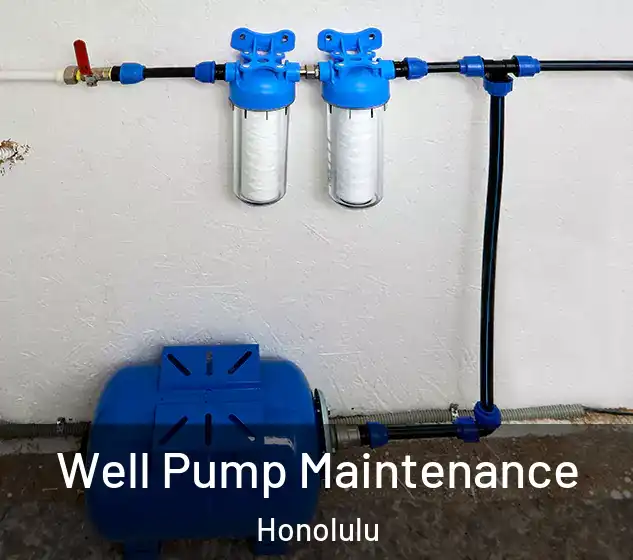  Well Pump Maintenance Honolulu