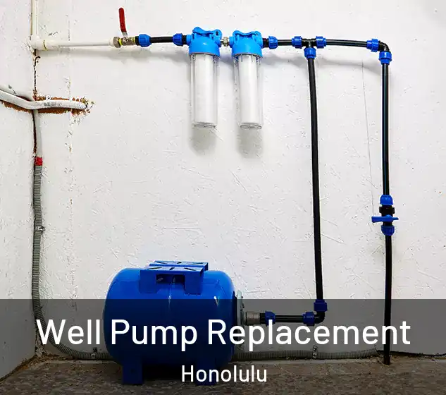  Well Pump Replacement Honolulu